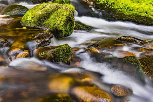 Comment mettre en œuvre un programme de recyclage des eaux grises dans les bâtiments résidentiels?